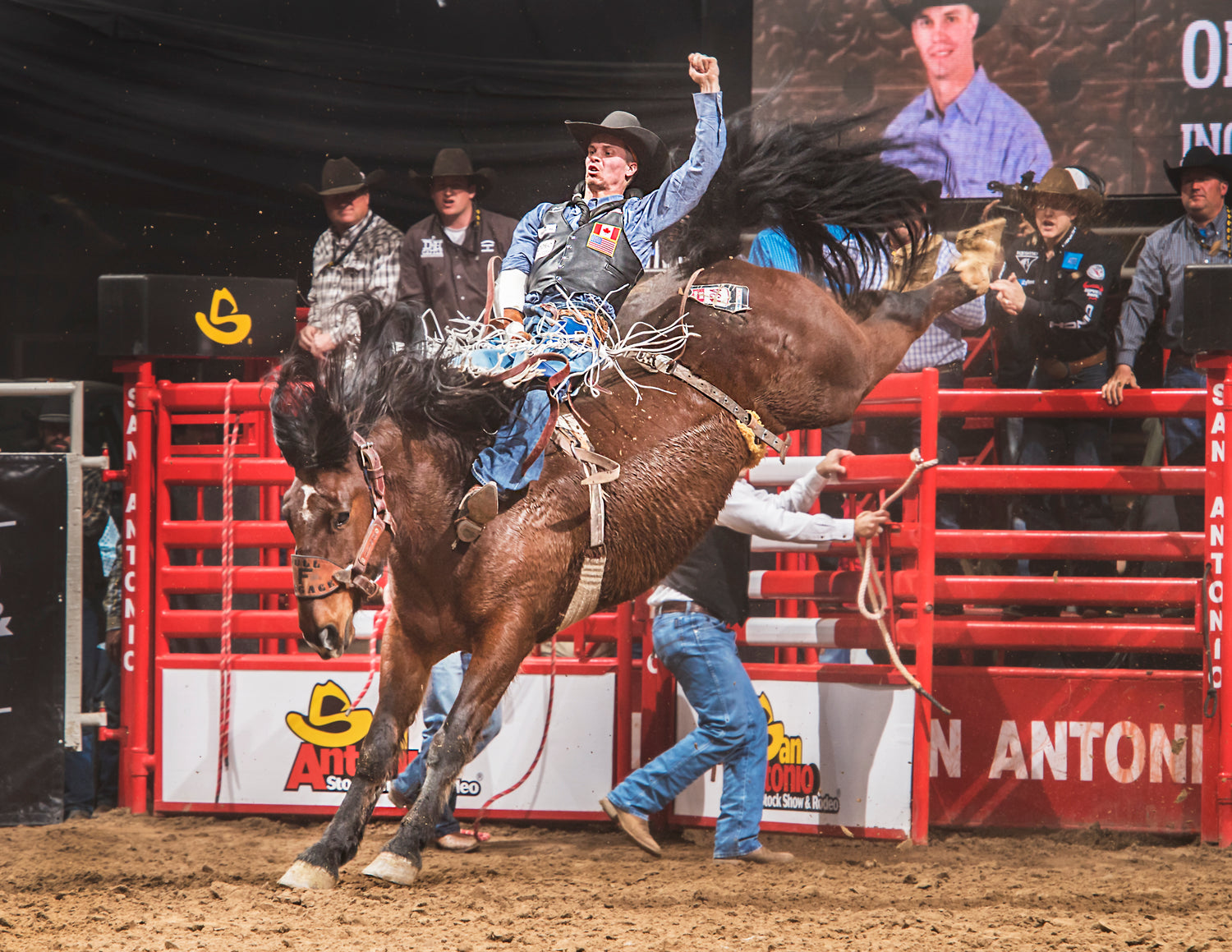 What Are The Different Rodeo Events I Can See In Texas?
