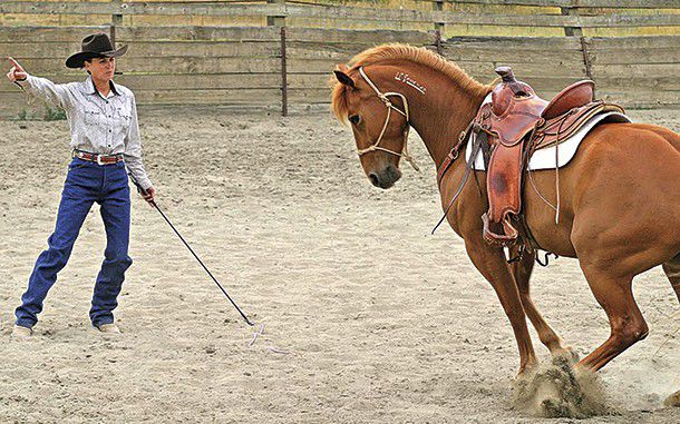 Are Cowgirls Skilled In Horse Training?