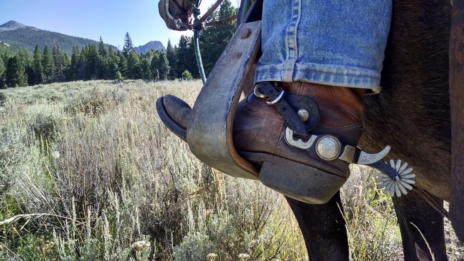 Are Cowboy Boots Good For Riding Horses?