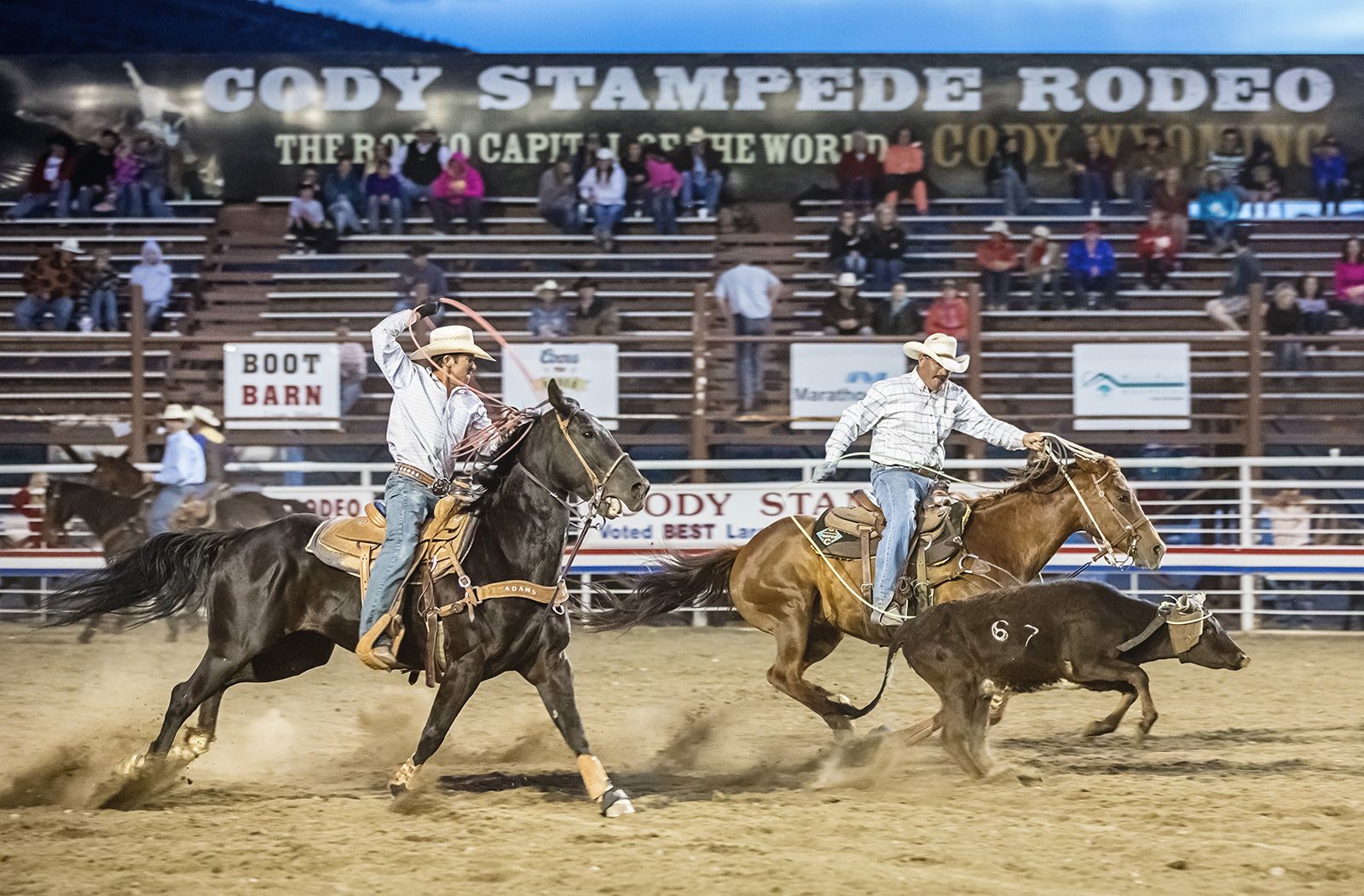 What Is The Significance Of Rodeos In Wyoming's Culture?