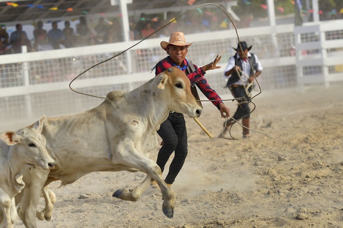 Are There Any Cultural Festivals Associated With California Rodeos?
